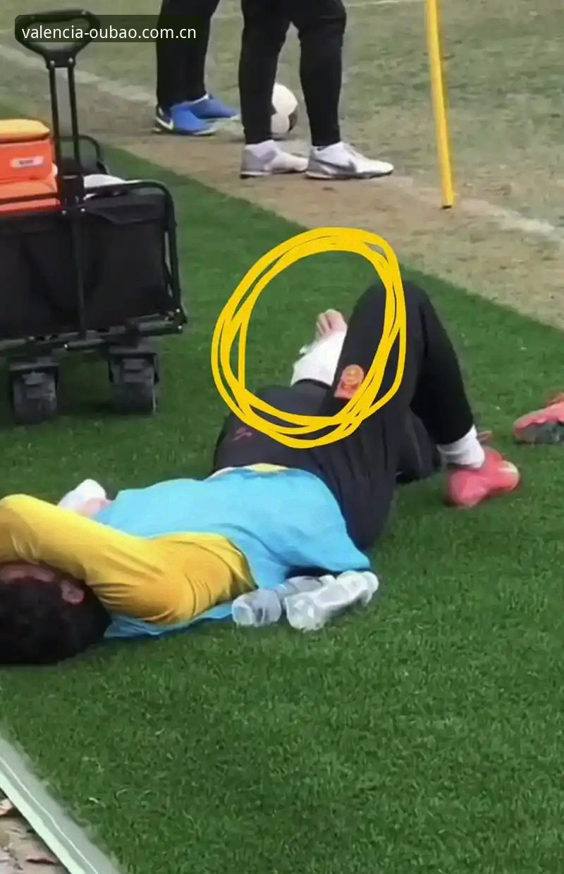 欧宝体育西甲瓦伦西亚官方新版本已换上赛事数据攻略 U19国足土伦杯出局深度分析:0-3惨败背后藏着青训代价,数据不会说谎